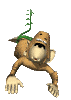 Monkeys