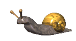 Snail