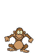 monkey1