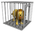 lioncage