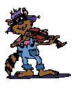 racoonfiddle
