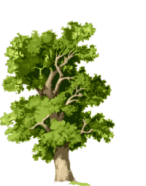 oaktree