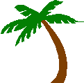 palmtree