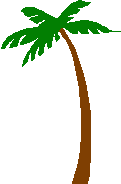 palmtree2