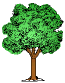tree1