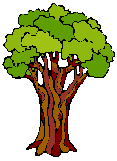 tree14