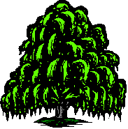 tree8