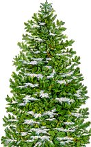 tree9