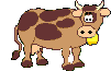 cow