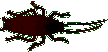 Cockroach 2