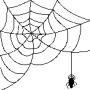 Spider web